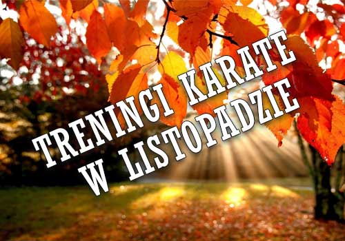 Treningi Karate w Listopadzie