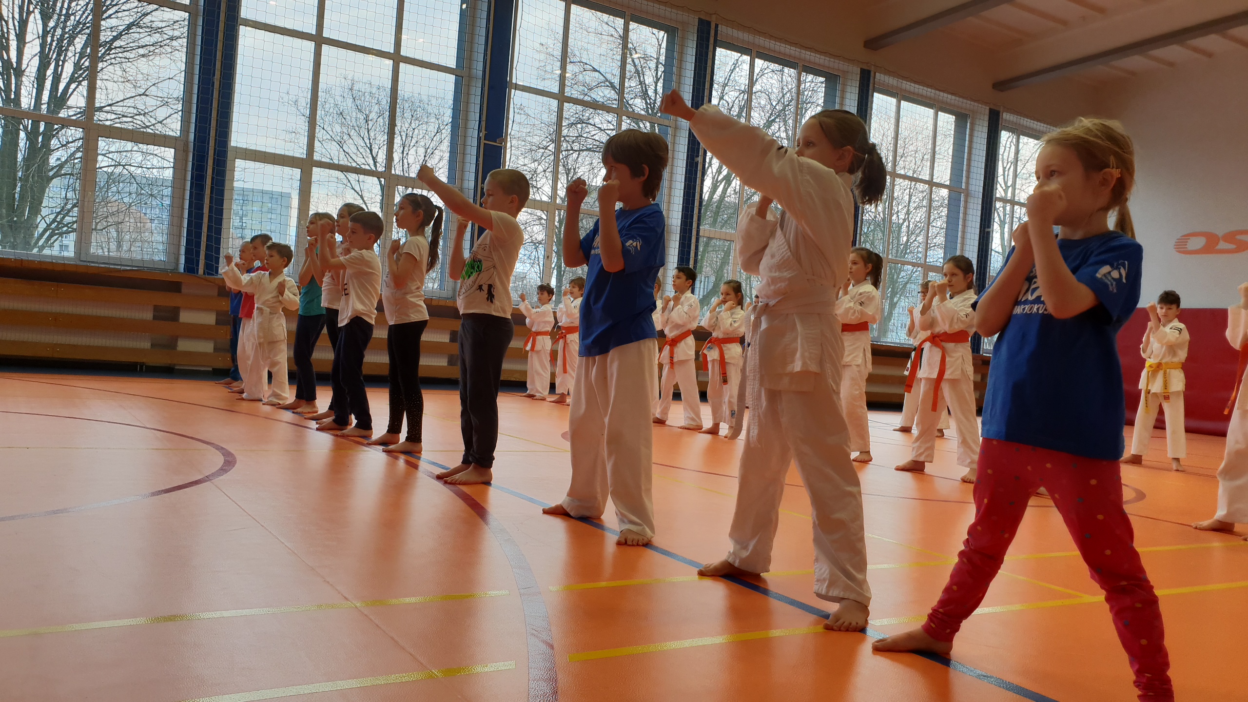 Treningi Karate w ferie zimowe 2022