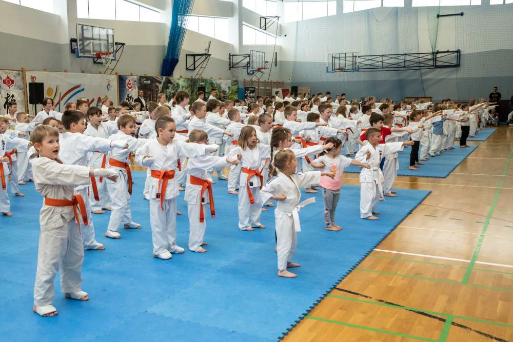 Mistrzostwa Białołęki Karate Shinkyokushin 2022 – Galeria zdjęć